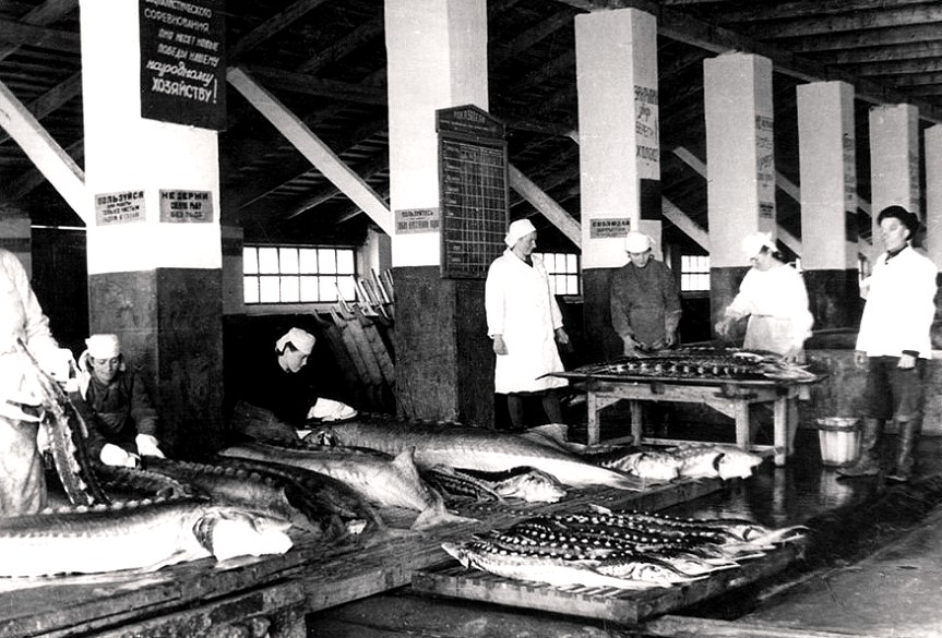 Рыбные деликатесы Азовского моря